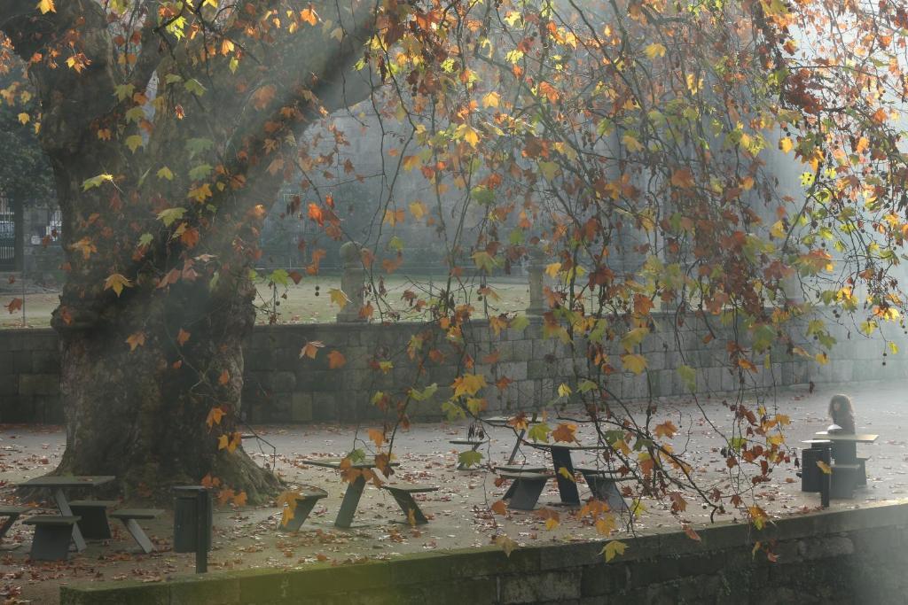 Solar Egas Moniz-Charming House & Local Experiences Βίλα Paço de Sousa Εξωτερικό φωτογραφία